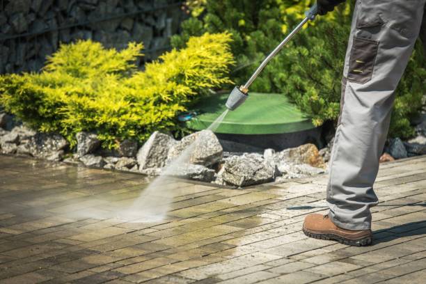 Best Solar Panel Cleaning  in Fobes Hill, WA