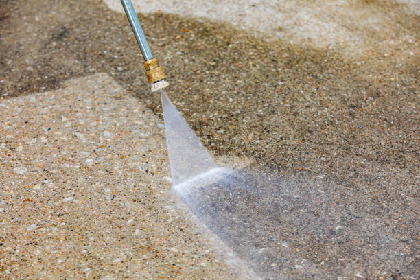 Professional Pressure Washing Services in Fobes Hill, WA